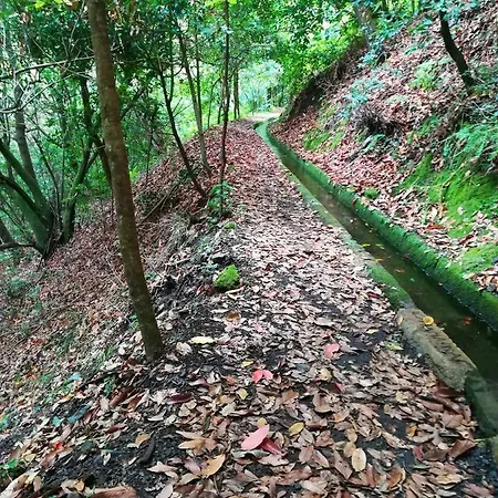 Apartamento Charming In 20 M² With Sunny Terrace *