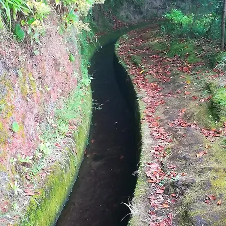 Apartamento Charming In 20 M² With Sunny Terrace