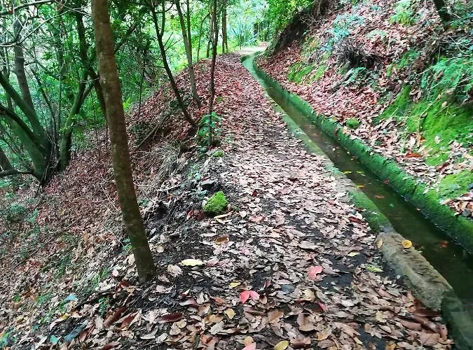 Apartament Charming In 20 M² With Sunny Terrace *